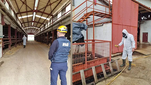 Çiftlikte gaz sızıntısı paniği: 1 işçi ve 2 hayvan etkilendi