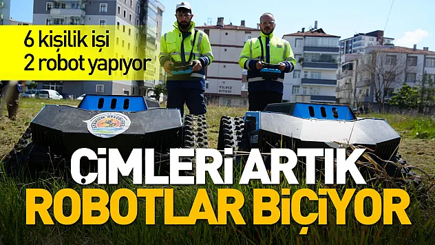 Çimleri artık robotlar biçiyor: 6 kişilik işi 2 robot yapıyor