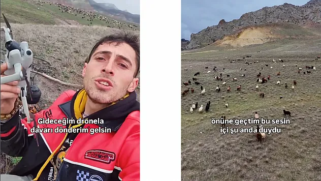 Çoban dronla sürüsünü geri topladı