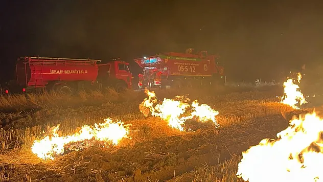 Çorum'da 6 günde 20 bin dekar arazi kül oldu