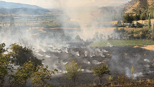 Çorum'da ormanlık alana sıçrayan yangına müdahale ediliyor