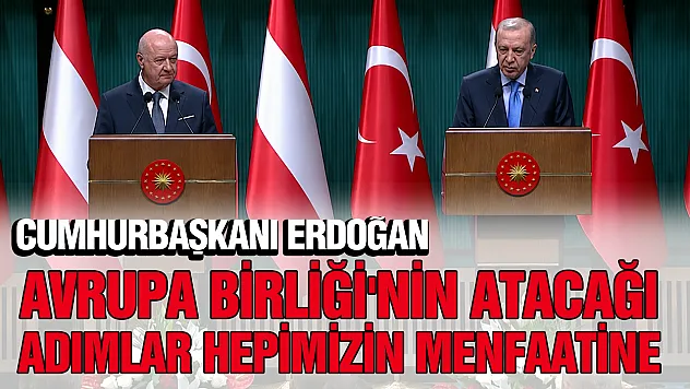 Cumhurbaşkanı Erdoğan, Avusturya Başbakanı Stocker ile bir araya geldi