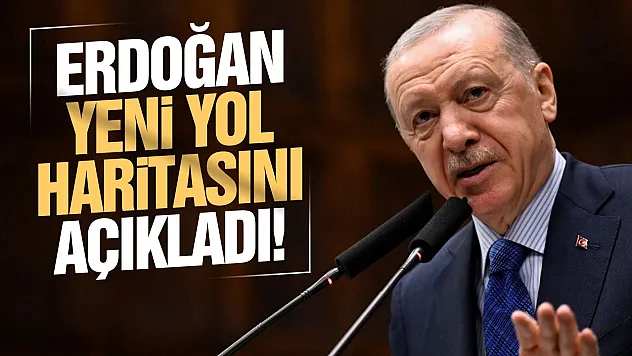Cumhurbaşkanı Erdoğan'dan 25. Yıl makalesi