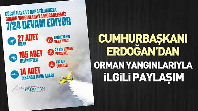 Cumhurbaşkanı Erdoğan'dan orman yangınlarıyla ilgili paylaşım