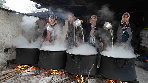 Dalında Alıcısı Yoktu, Kazanda Altın Değerine Ulaştı