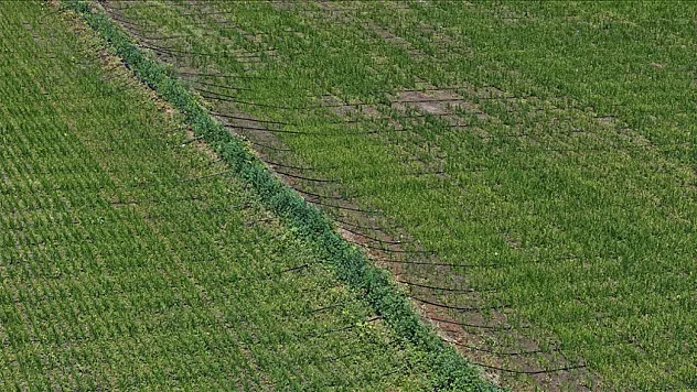 'Damla sulama' ile tarıma kazandırılıyor