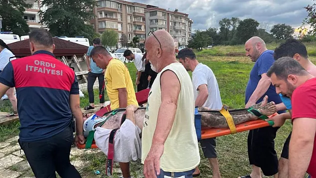 Denizde can pazarı: Akıntıya kapılan 3 kişi kurtarıldı