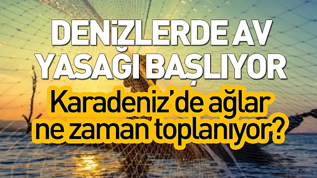 Denizlerde av yasağı başlıyor: Karadeniz'de ağlar ne zaman toplanıyor?