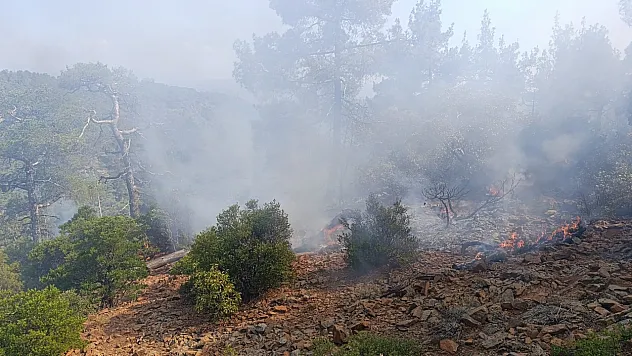Denizli'de düşen yıldırım günler sonra yangına dönüştü