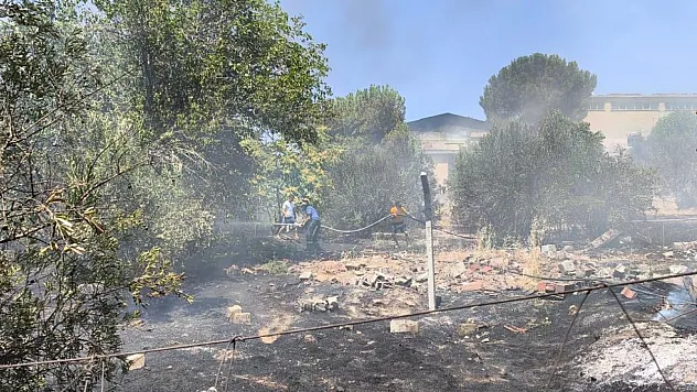 Denizli'de örtü yangını