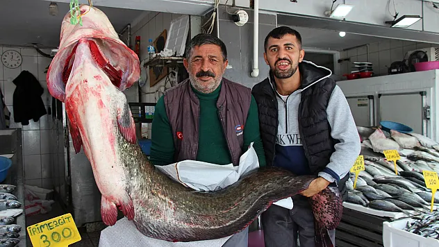 Dev balık ilgiyi üzerine çekti