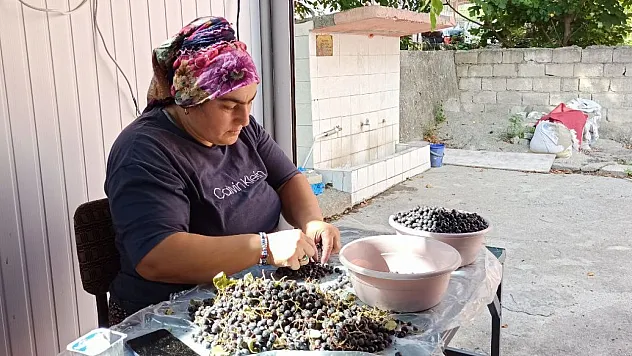 Devrek'te Aronya Meyvesiyle Doğal Meyve Suyu Üretimi İlgi Görüyor