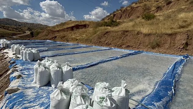 Devrilen kamyondaki 10 ton kapya biber yola saçıldı: 2 yaralı