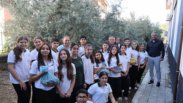 Diktikleri zeytinleri 8 yıl sonra hasat ettiler