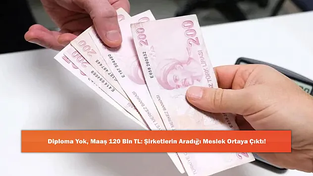Diploma Yok, Maaş 120 Bin TL: Şirketlerin Aradığı Meslek Ortaya Çıktı!