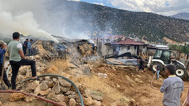 Doğanşehir'de Ahır Yangını: 10 Büyükbaş Hayvan Telef Oldu