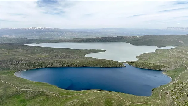 Doğaseverlerin gözdesi oldu