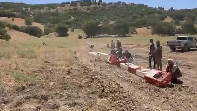 Doğaya 300 Kınalı Keklik Bırakıldı