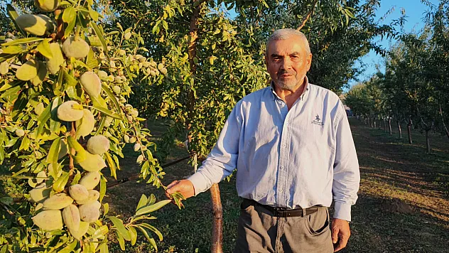 Doktorunun tavsiyesiyle memleketine dönüp üretici oldu