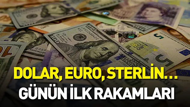 Dolar, euro, sterlin… Günün ilk rakamları