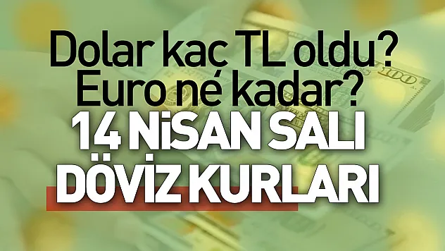 Dolar kaç TL oldu, Euro ne kadar? (14 Nisan Salı döviz kurları)