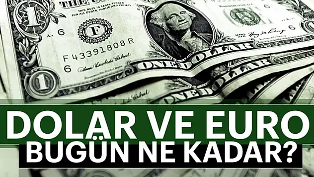 Dolar ve Euro Bugün Ne Kadar?