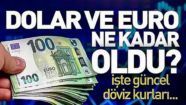 Dolar ve Euro güne nasıl başladı?