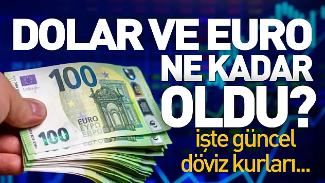 Dolar ve euro haftaya yükselişle başladı: 4 Mayıs 2026 döviz kurları