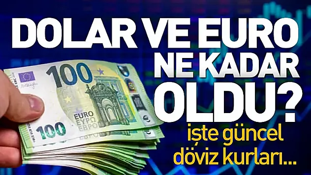 Dolar ve Euro'da son durum