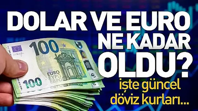 Döviz piyasasında hareketlilik sürüyor