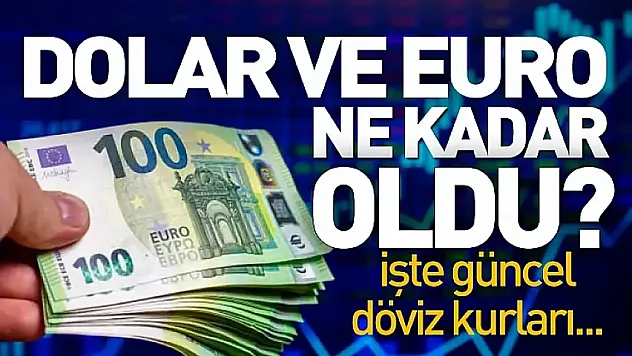 Döviz piyasasında son durum: Dolar ve Euro kaç TL oldu?