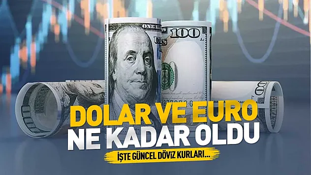 Döviz piyasasında son durum