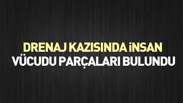 Drenaj Kazısında İnsan Vücudu Parçaları Bulundu