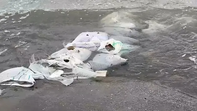 Duyarsızlar! İnşaat atığını denize döktüler