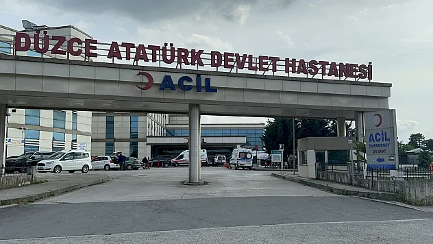 Düzce'de 2 tarım patpat aracı çarpıştı