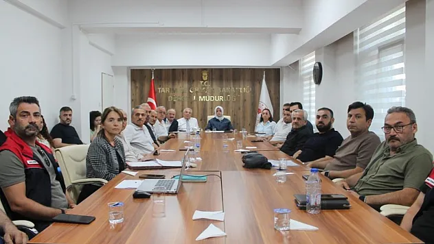 Düzce'de 2026 fındık rekoltesi için saha çalışmaları tamamlandı
