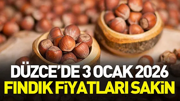 Düzce'de 3 Ocak 2026 Fındık Fiyatları Sakin
