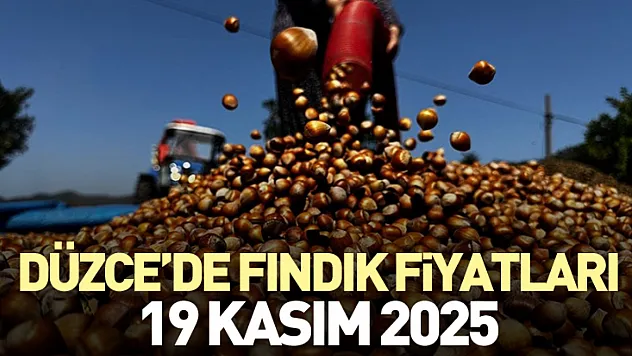Düzce'de Fındık Fiyatları 19 Kasım 2025