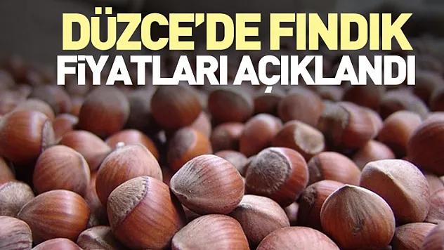 Düzce'de Fındık Fiyatları Açıklandı