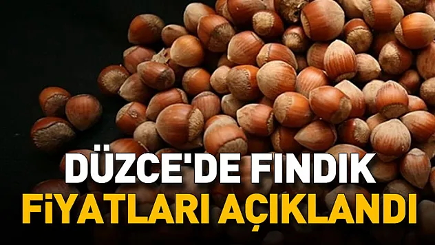 Düzce'de Fındık Fiyatları açıklandı
