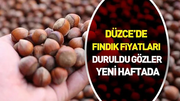 27 Ocak 2026 Düzce Fındık Fiyatları | Gözler Gelecek Haftada
