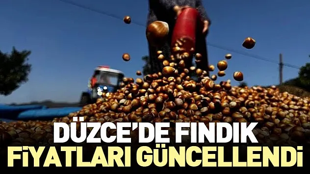 Düzce'de Fındık Fiyatları Güncellendi