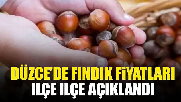Düzce'de Fındık Fiyatları İlçe İlçe Açıklandı