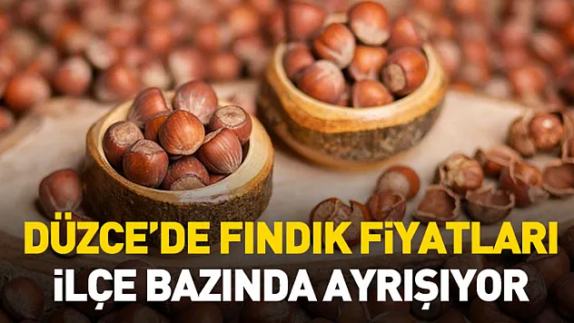 Düzce'de Fındık Fiyatları İlçe Bazında Ayrışıyor