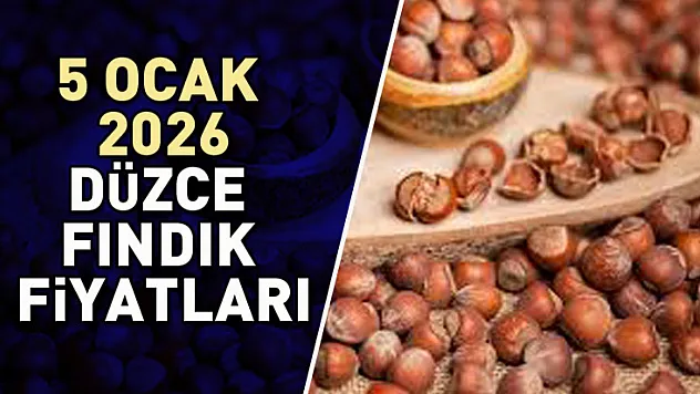 Düzce'de Fındıkta Alıcı–Satıcı Dengesi Değişiyor: İşte Güncel Fiyatlar