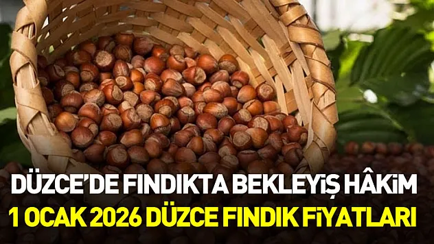 Düzce'de Fındıkta Bekleyiş Hâkim – 1 Ocak 2026 Düzce Fındık Fiyatları