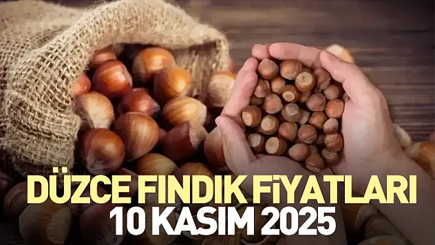 Düzce Fındık Fiyatları 10 Kasım 2025