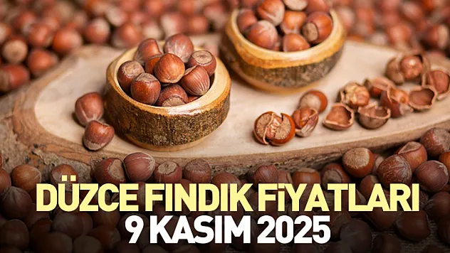 Düzce Fındık Fiyatları 9 Kasım 2025
