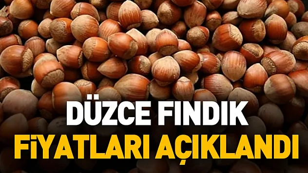Düzce Fındık Fiyatları Açıklandı