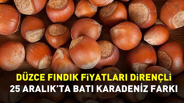 Düzce Fındık Fiyatları Dirençli | 25 Aralık'ta Batı Karadeniz Farkı